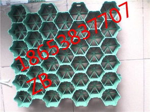 济宁塑料植草格厂家推荐及产品图片展示